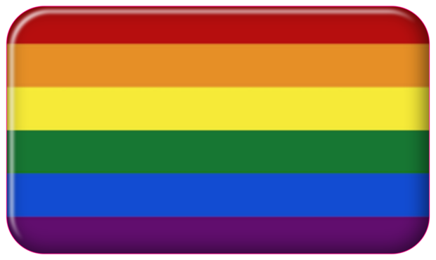 BUBS Flexplate Pride Flag – BUBSUSA@